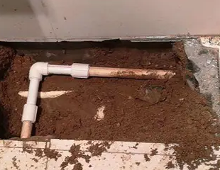 衡水市测漏水哪家好