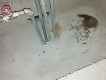 衡水市卫生间测漏水价格明细