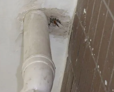 衡水市漏水检测哪家好